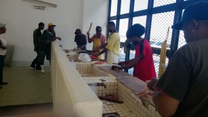 We enjoying buying the day's catch at this local fish market.   